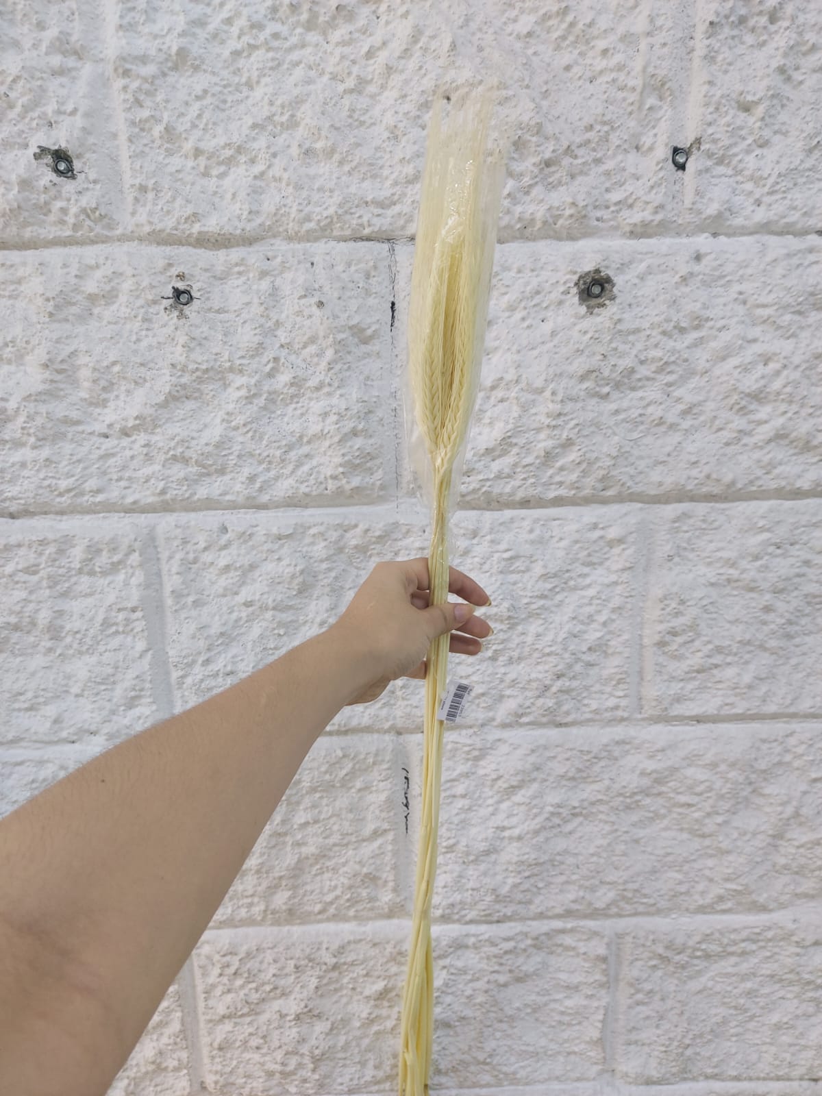 Espiga Larga Real 89cm