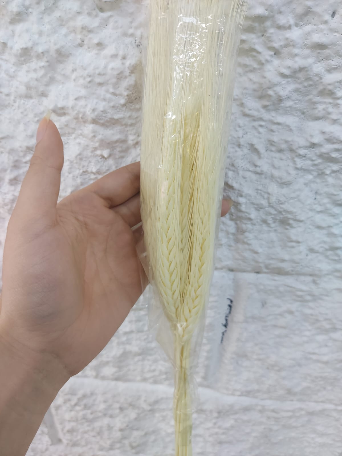Espiga Larga Real 89cm