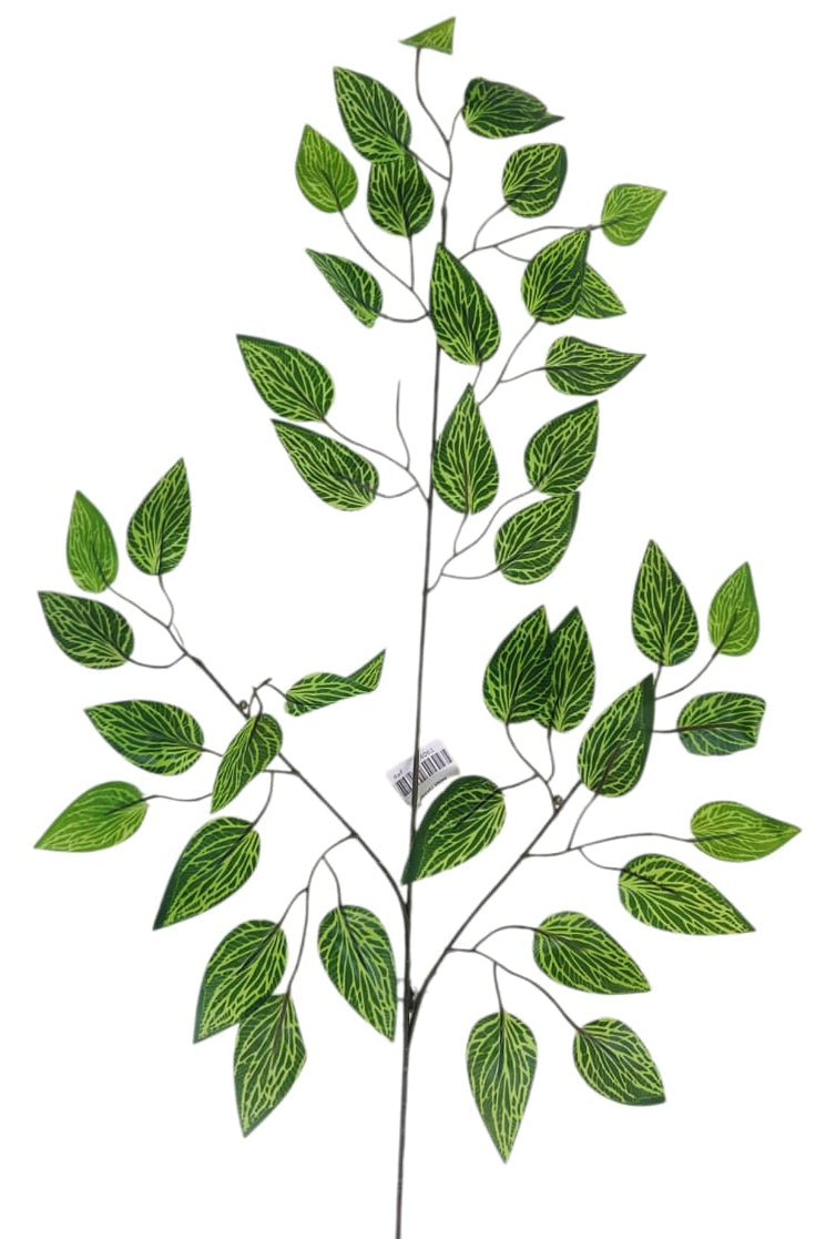 Rama Benjamina de Puntos Verdes 56cm