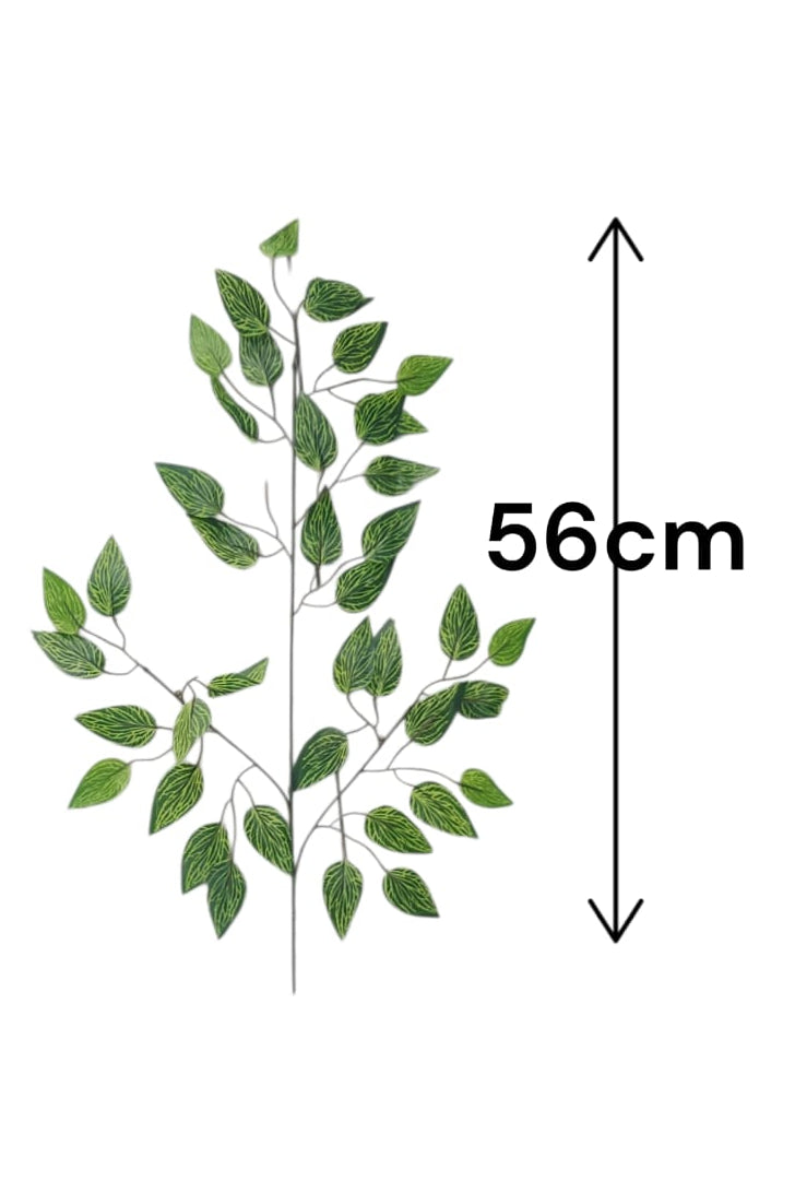 Rama Benjamina de Puntos Verdes 56cm