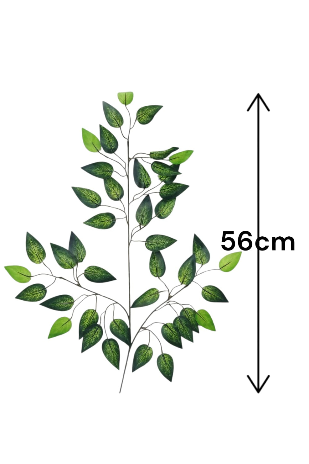 Rama Benjamina Oscura con Puntos 56cm