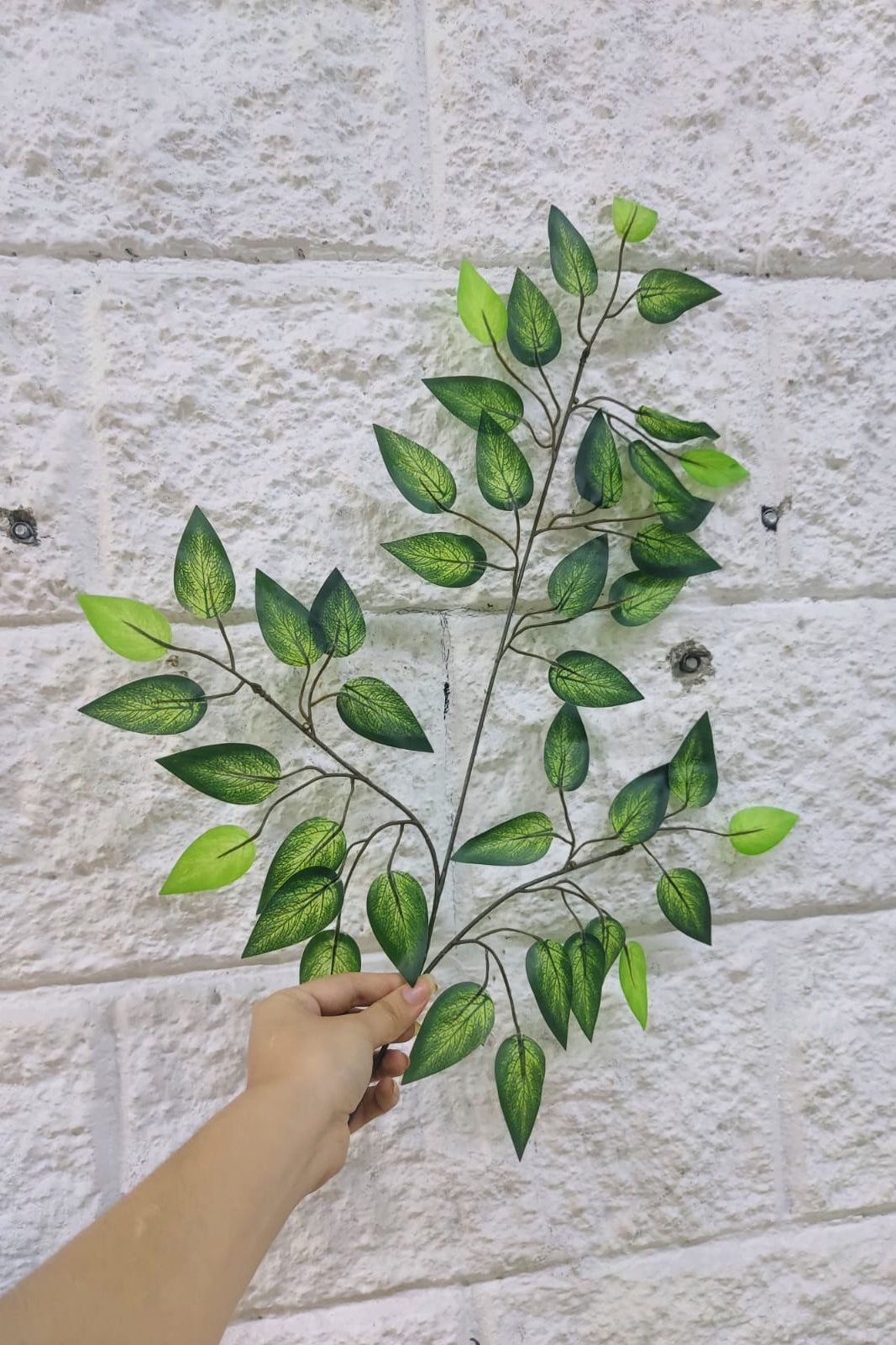 Rama Benjamina Oscura con Puntos 56cm