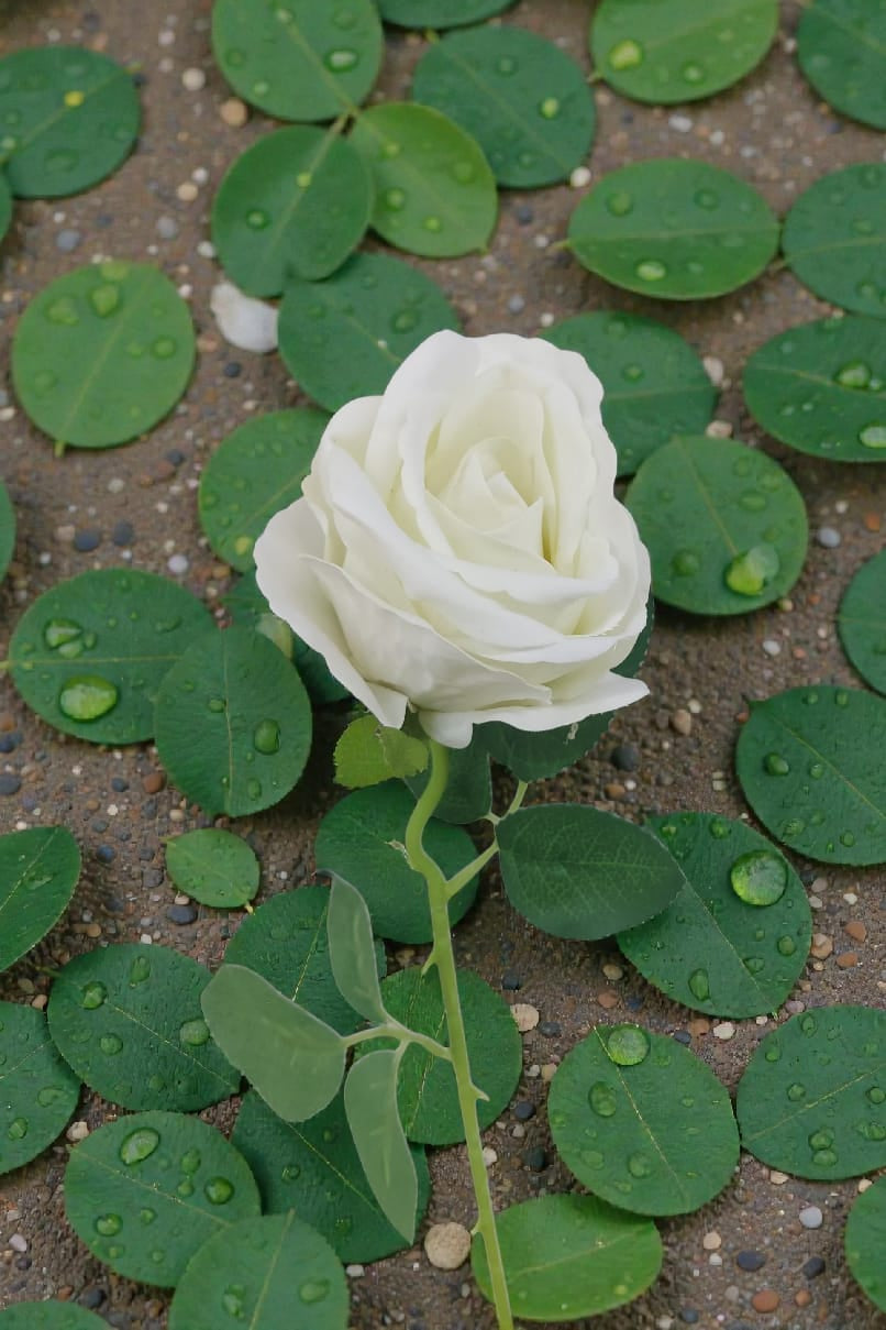 Rosa Super Realista Artificial Blanca 50cm