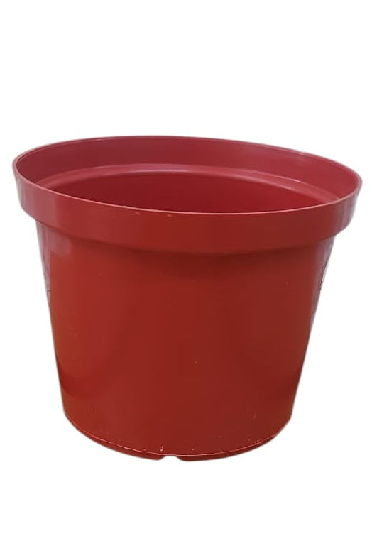 Matera Plástica Pequeña Roja 8cm