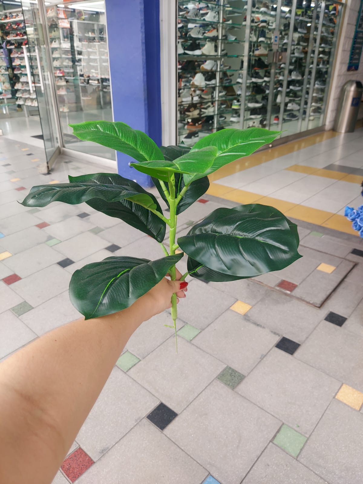 Planta Laurel Pequeña 48cm