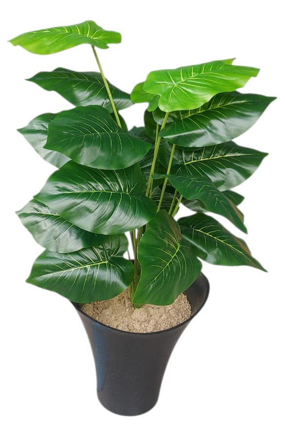 Planta Singonio Artificial 60cm