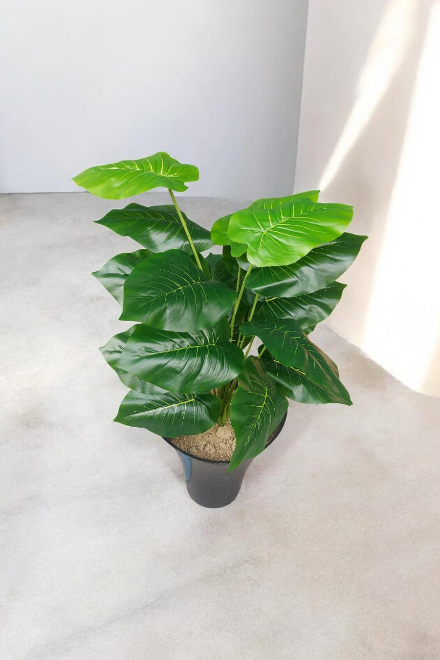 Planta Singonio Artificial 60cm