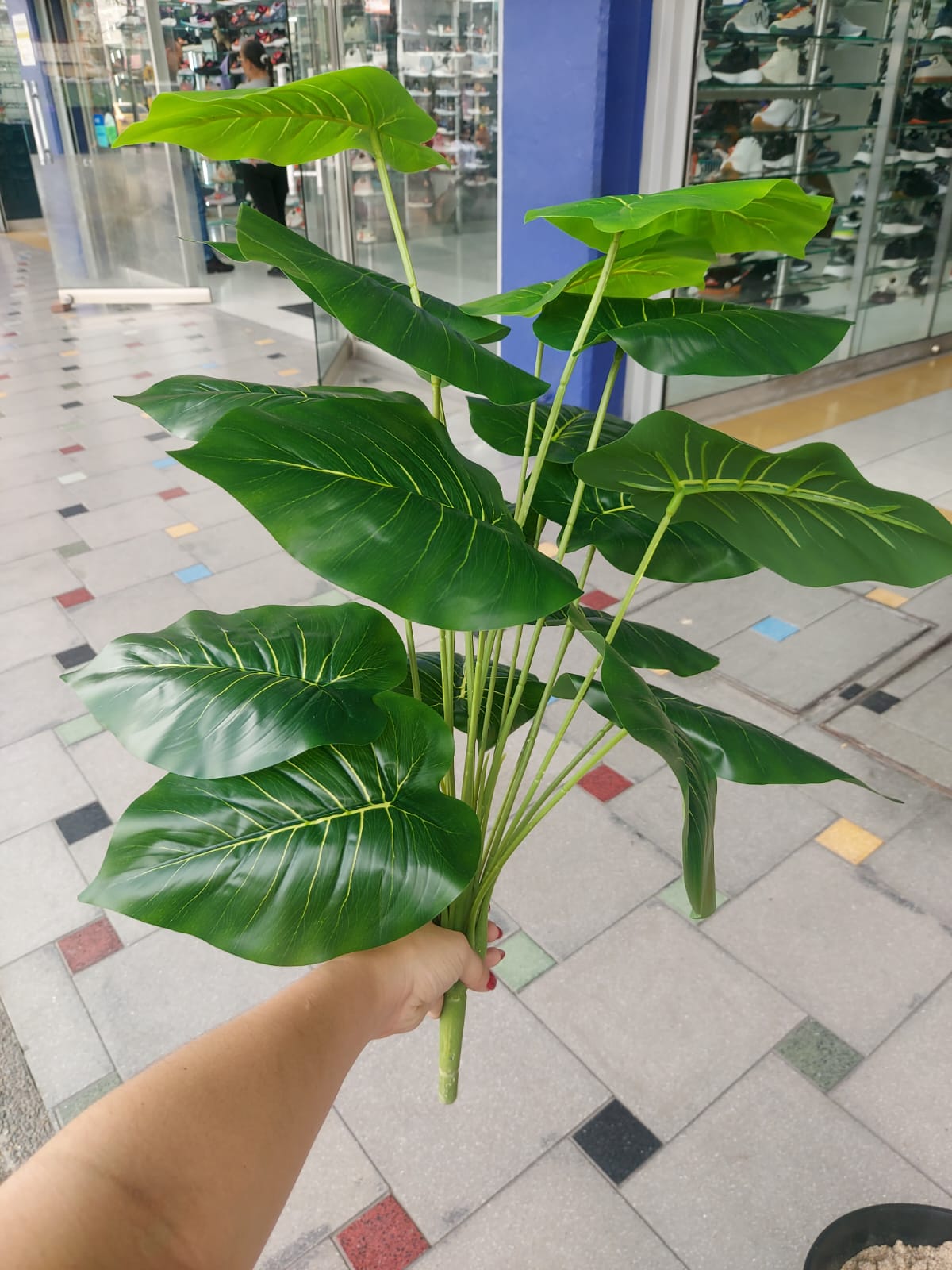 Planta Singonio Artificial 60cm