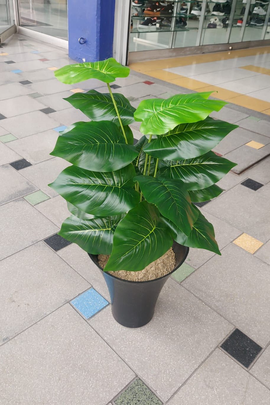 Planta Singonio Artificial 60cm