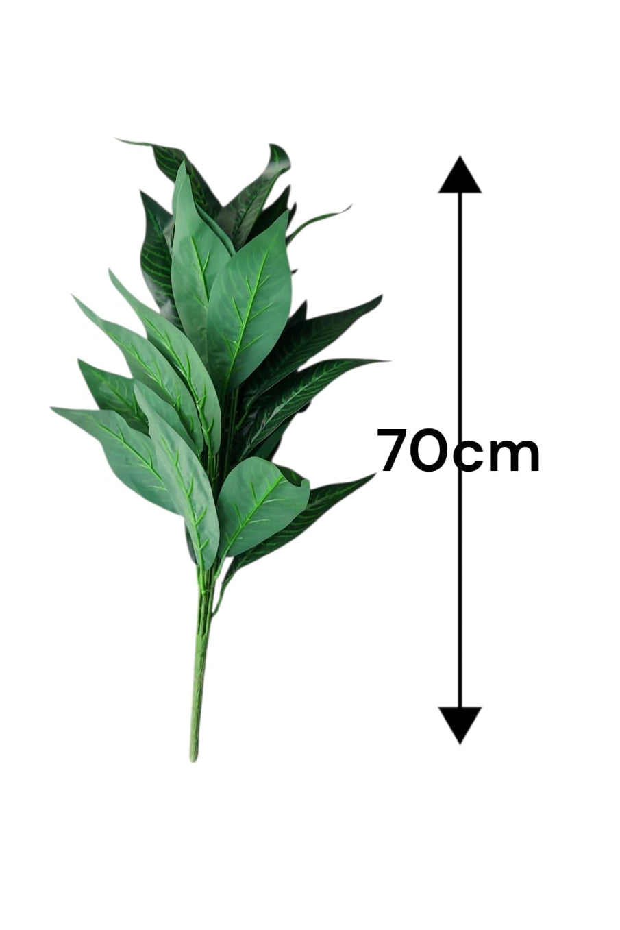 Planta Croton Mediana 70cm