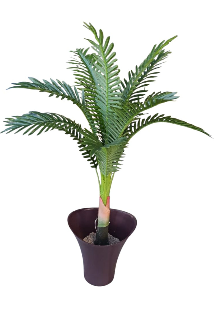 Planta Para Matera Palmera Mediana 95cm