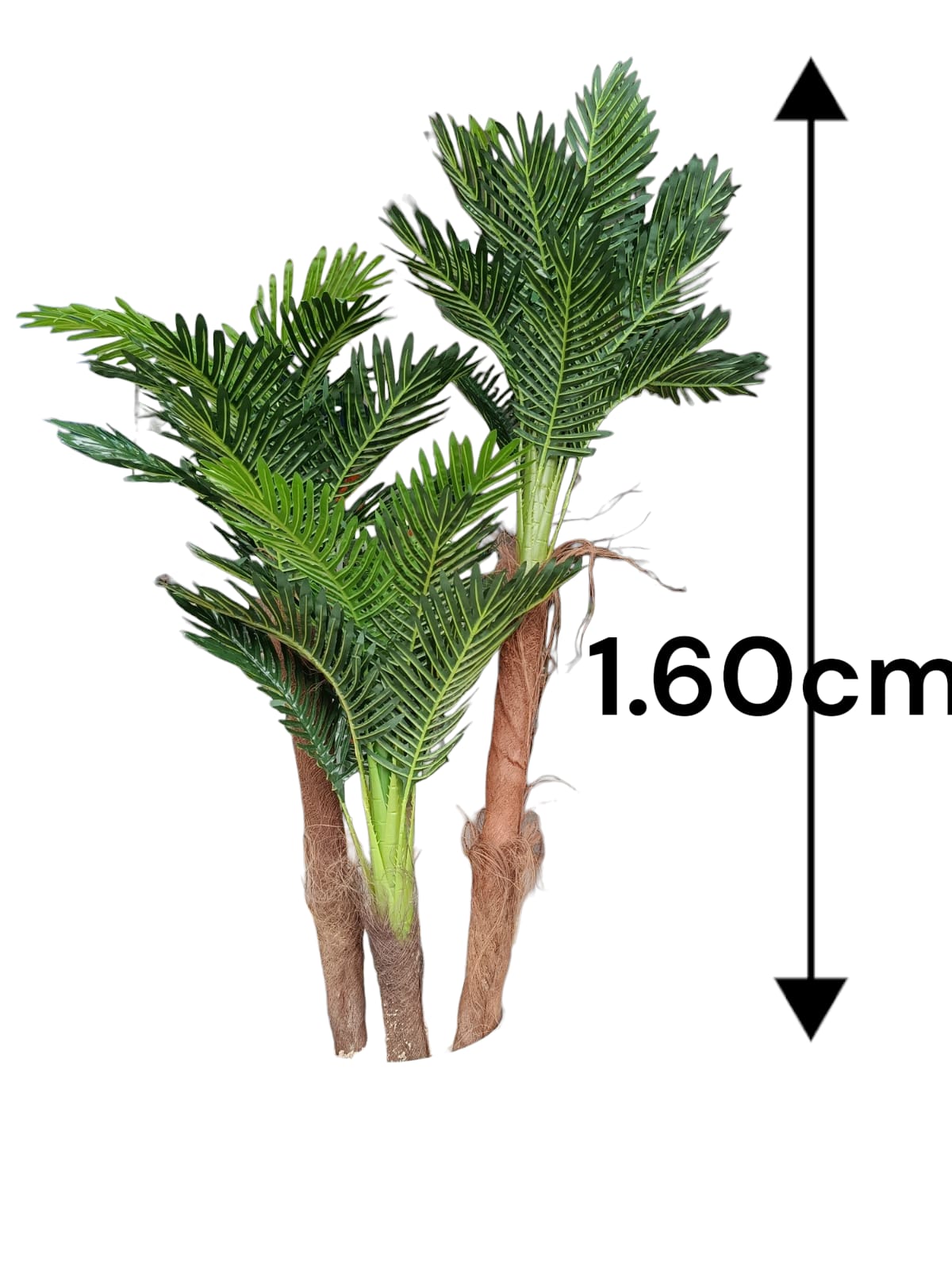 Set de Palmeras x3 1.60mts