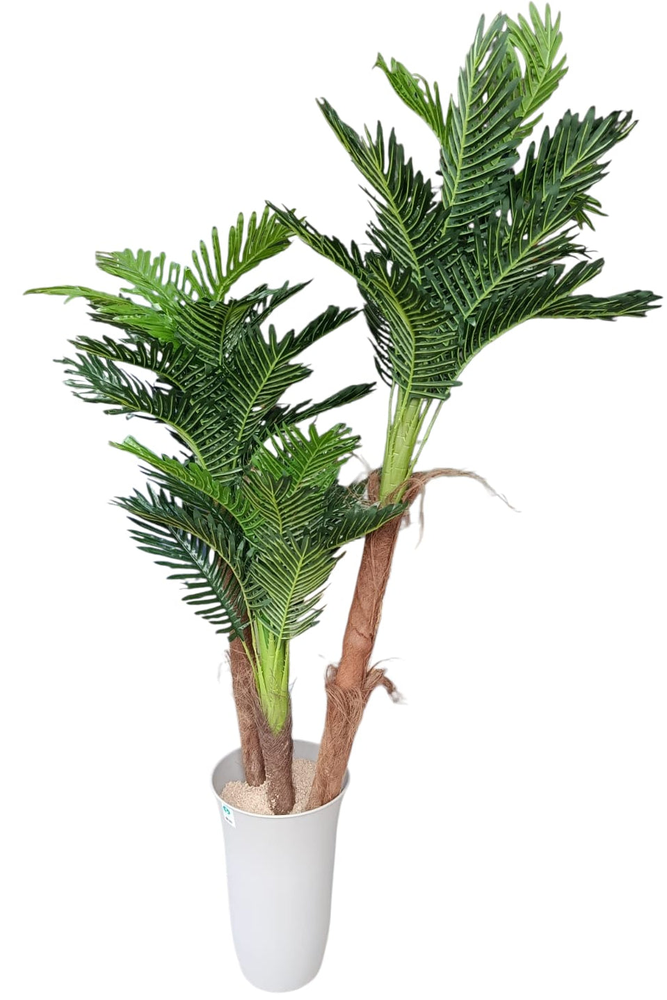 Set de Palmeras x3 1.60mts