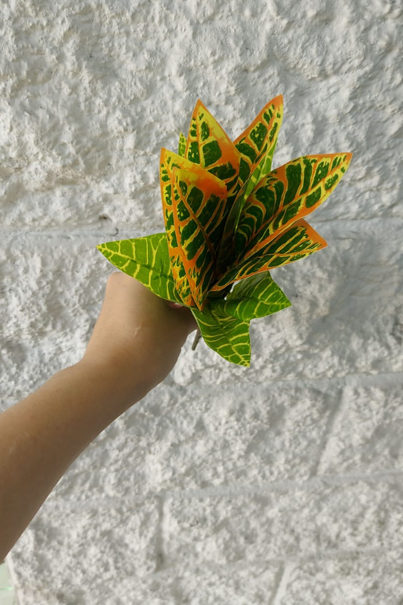 Planta para Matera Codiaeum Naranja 29cm