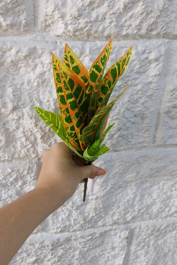 Planta para Matera Codiaeum Naranja 29cm
