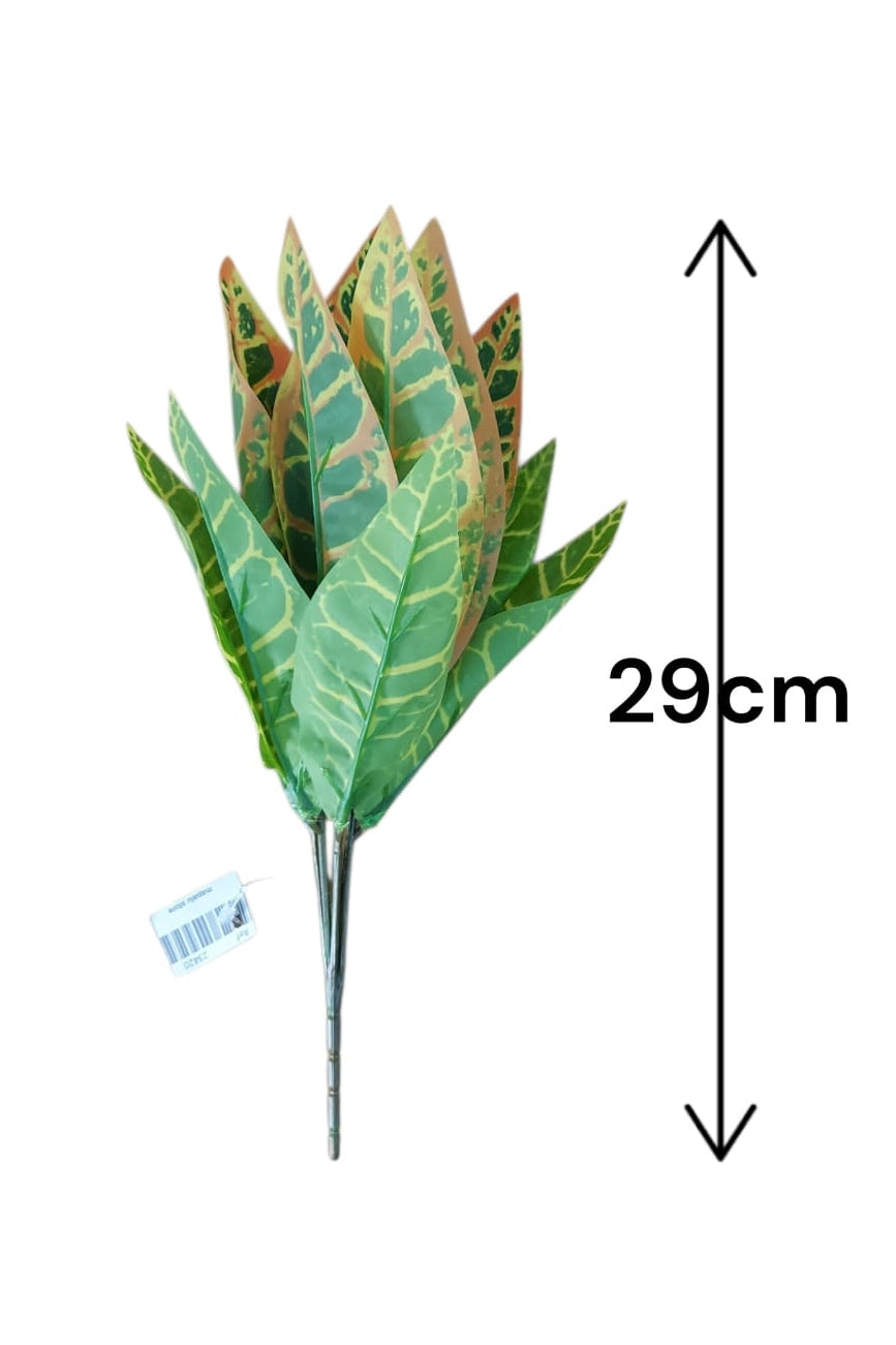 Planta para Matera Codiaeum Naranja 29cm