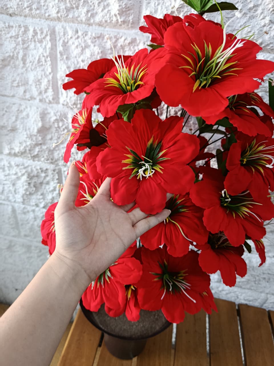 Planta de Flor Noche Buena 85cm
