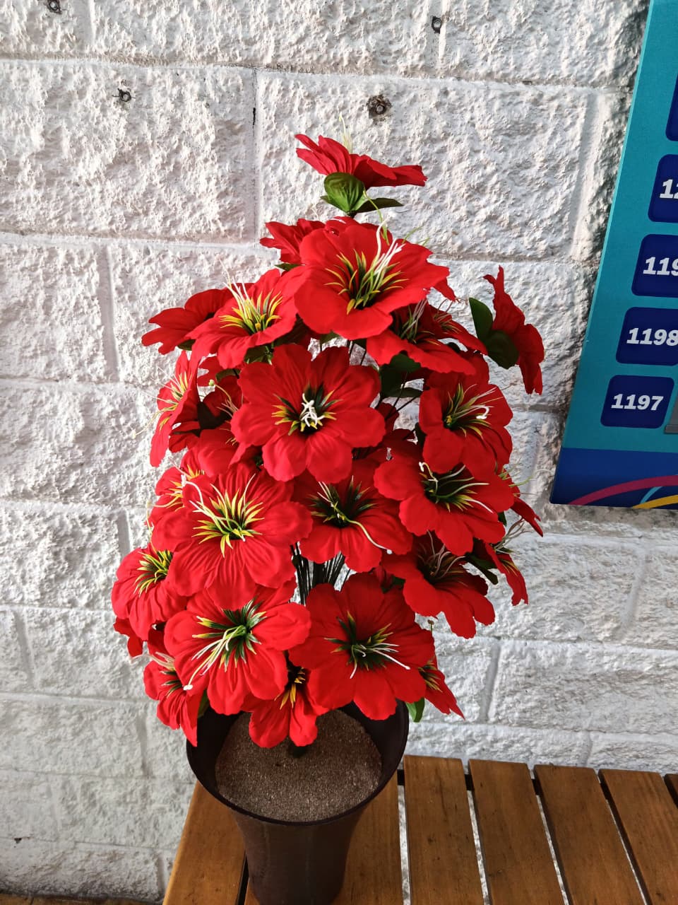 Planta de Flor Noche Buena 85cm