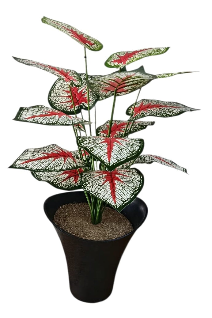 Planta Corazón Manchado Artificial  66cm