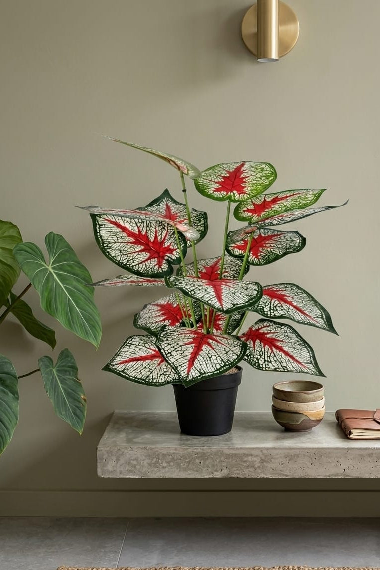 Planta Corazón Manchado Artificial  66cm