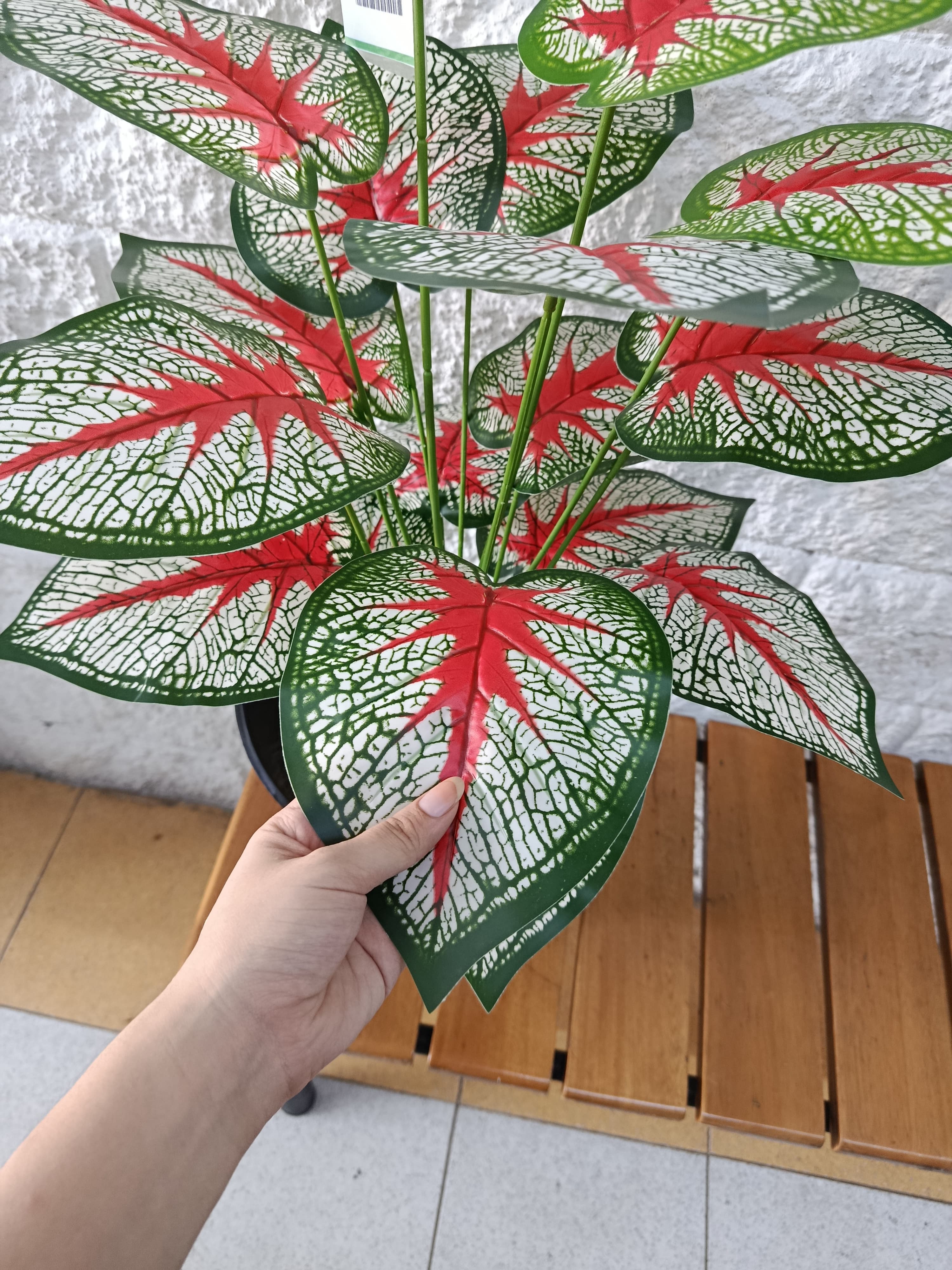 Planta Corazón Manchado Artificial  66cm
