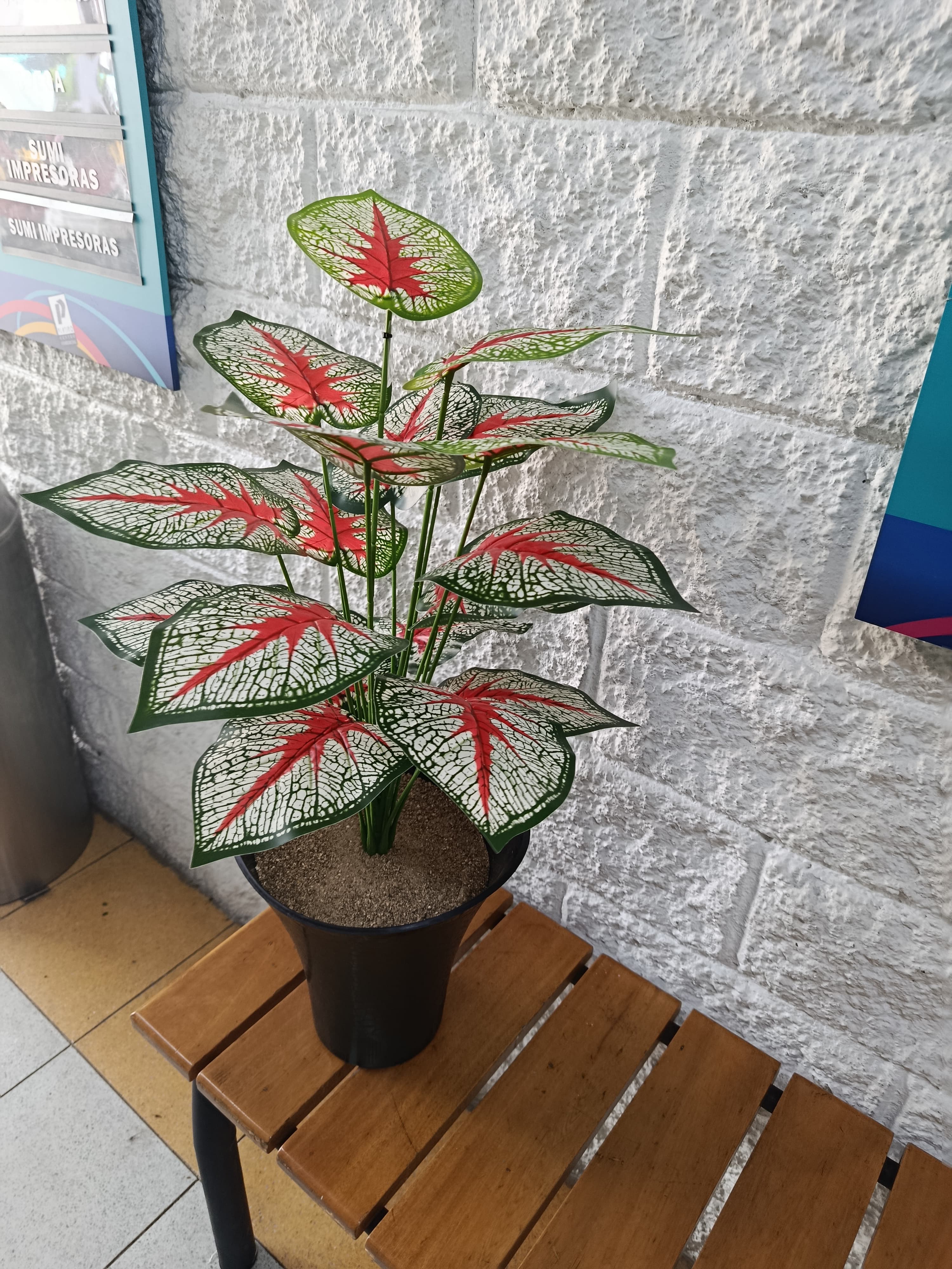 Planta Corazón Manchado Artificial  66cm