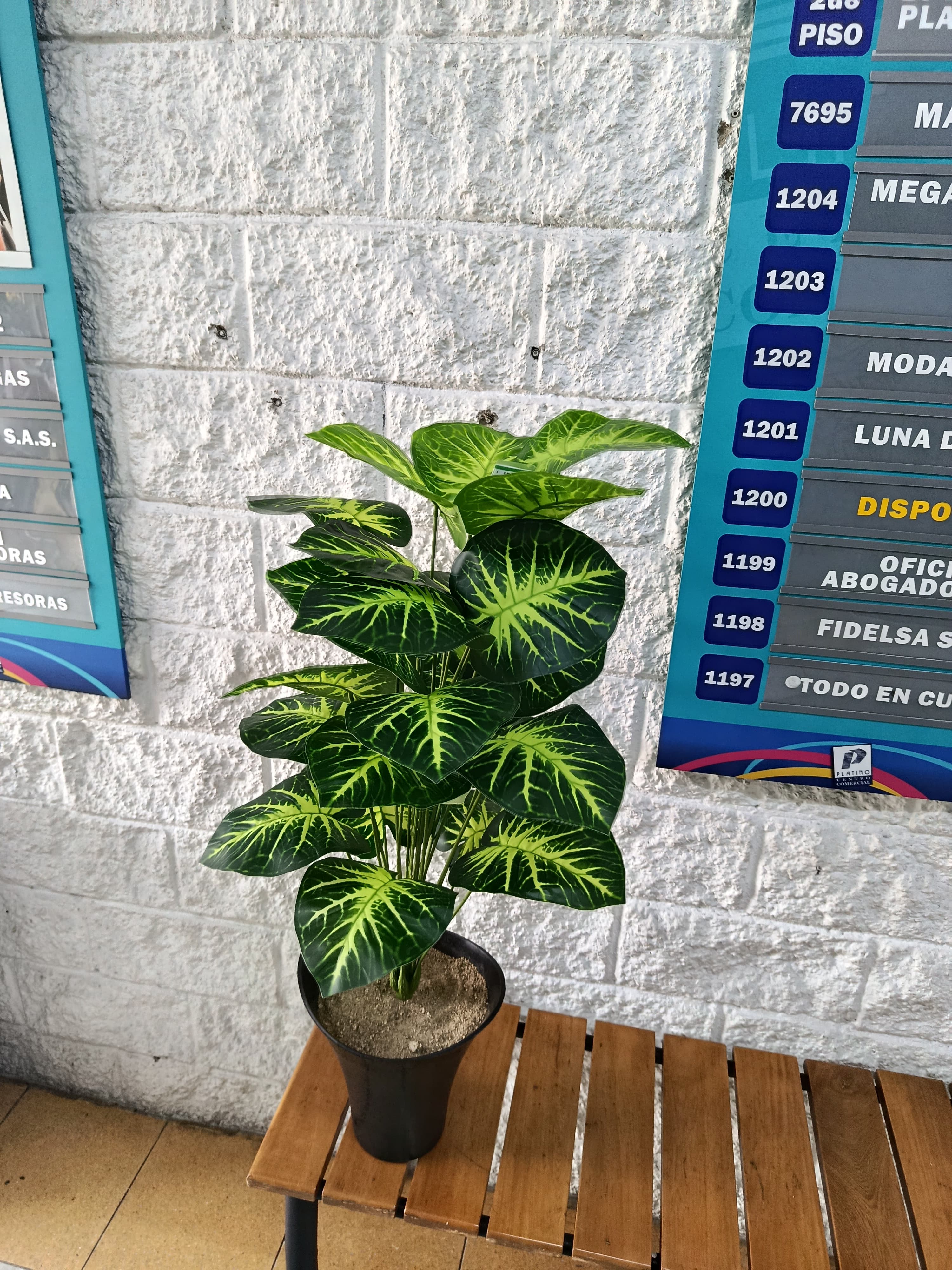Planta Dieffenbacha Verde Artificial 94cm
