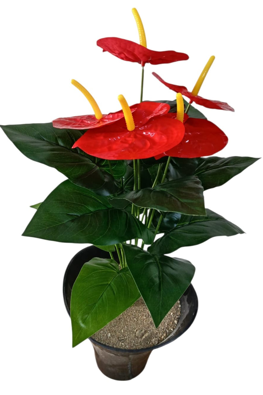 Planta Anturio Rojo Artificial 70cm