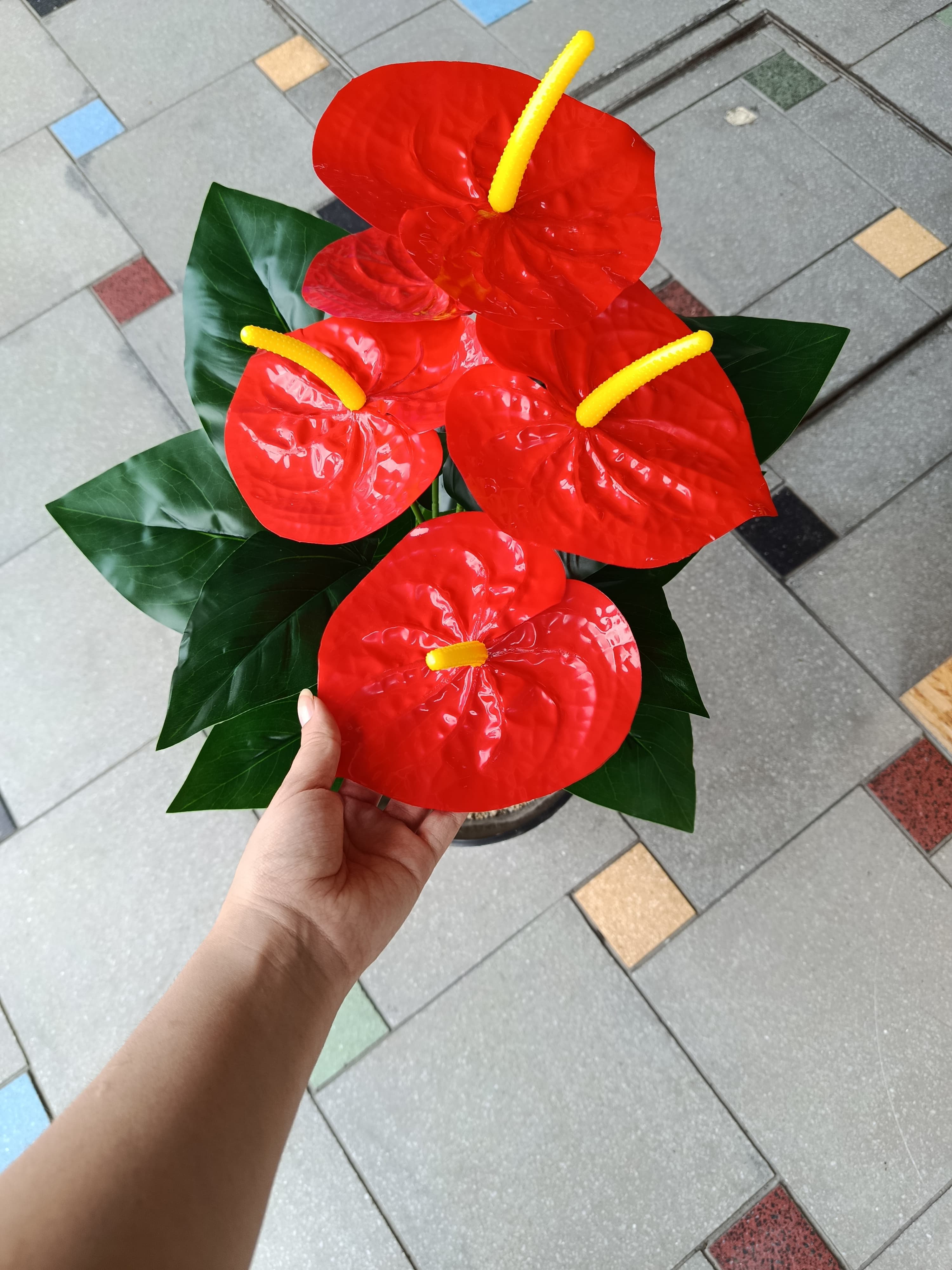 Planta Anturio Rojo Artificial 70cm