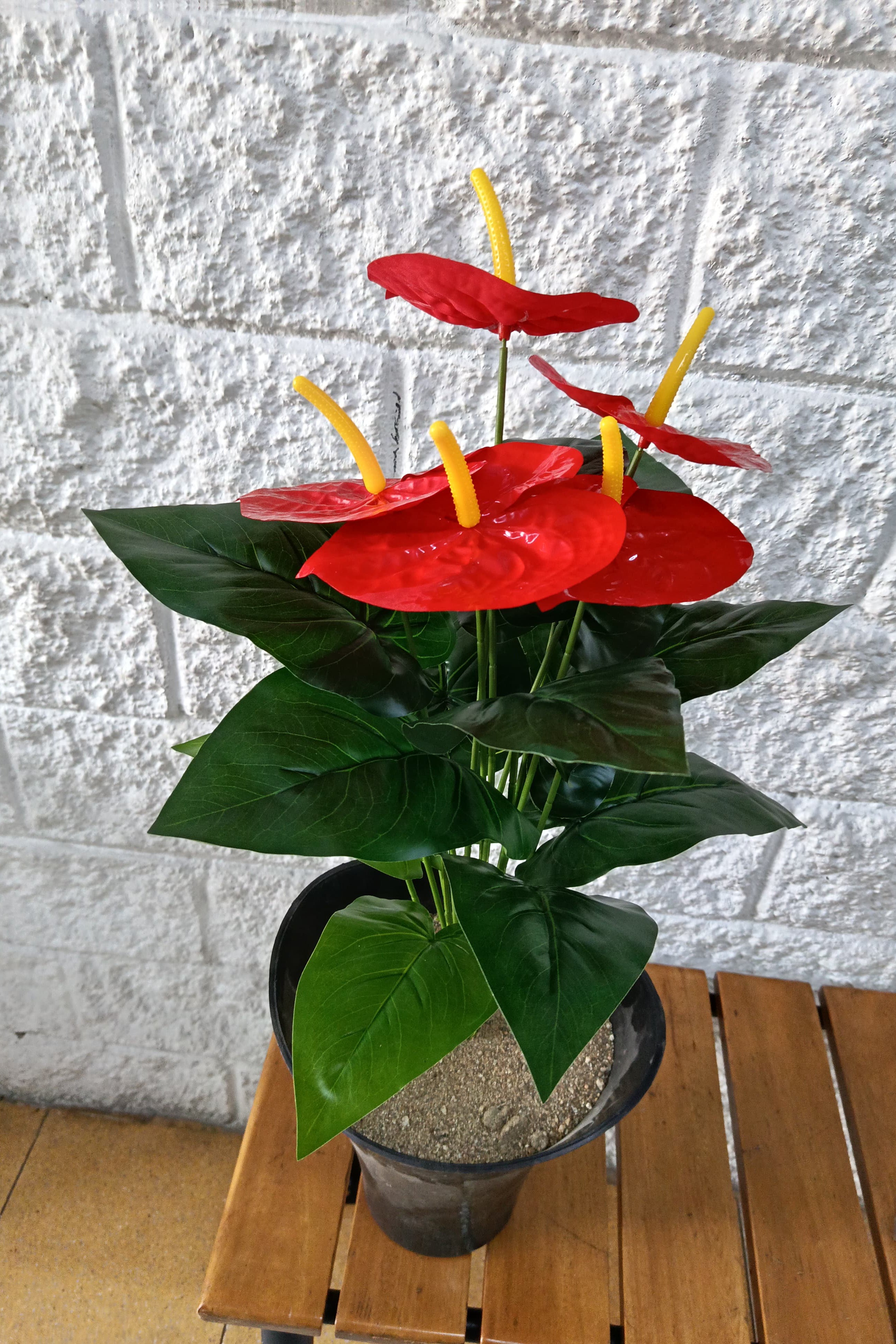 Planta Anturio Rojo Artificial 70cm