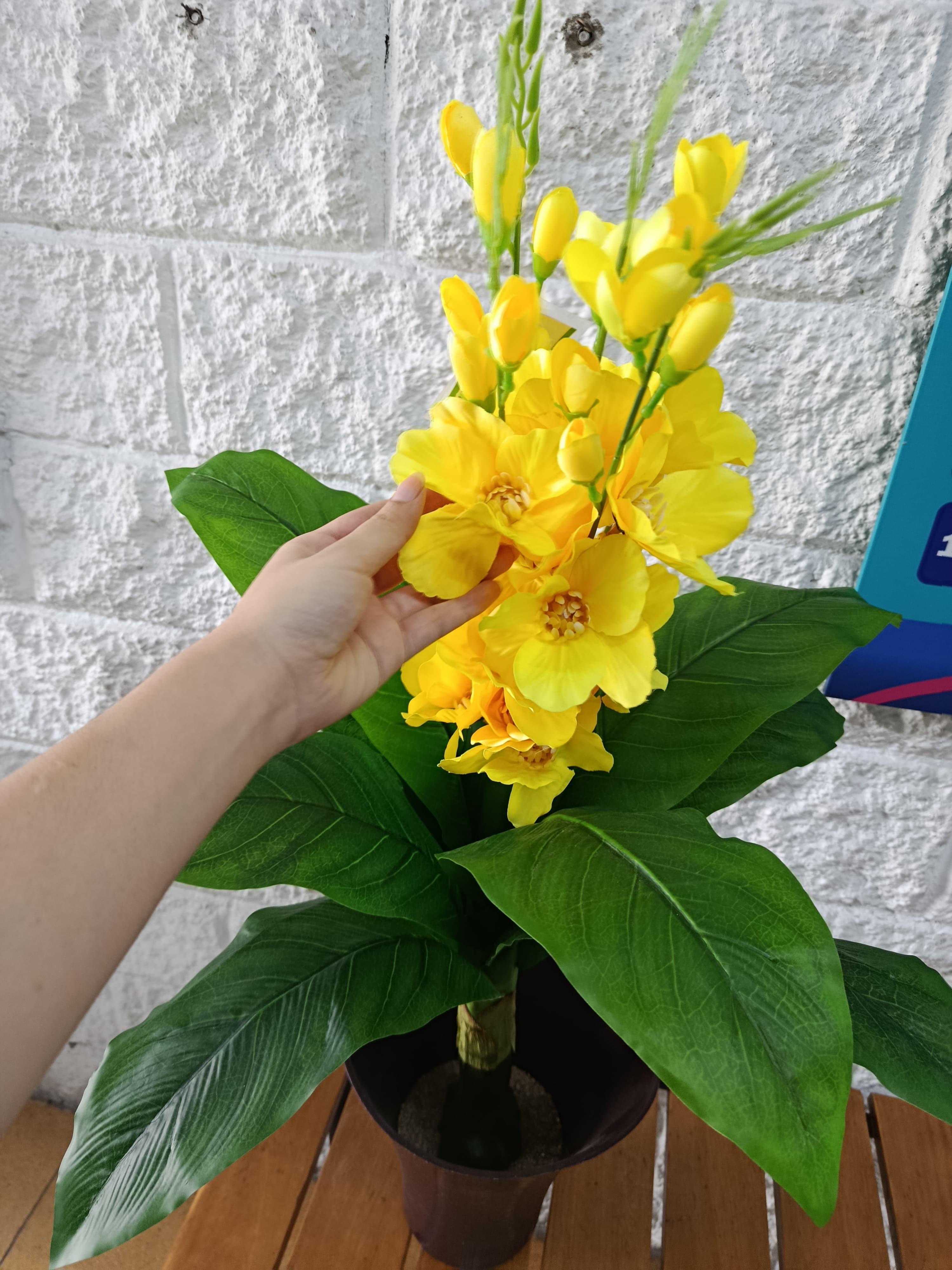 Planta para Matera con Flor Amarilla 97cm