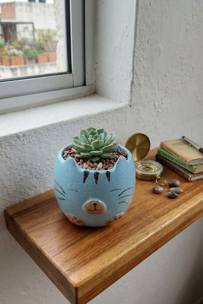 Matera de Cerámica Gatico Azul 9cm