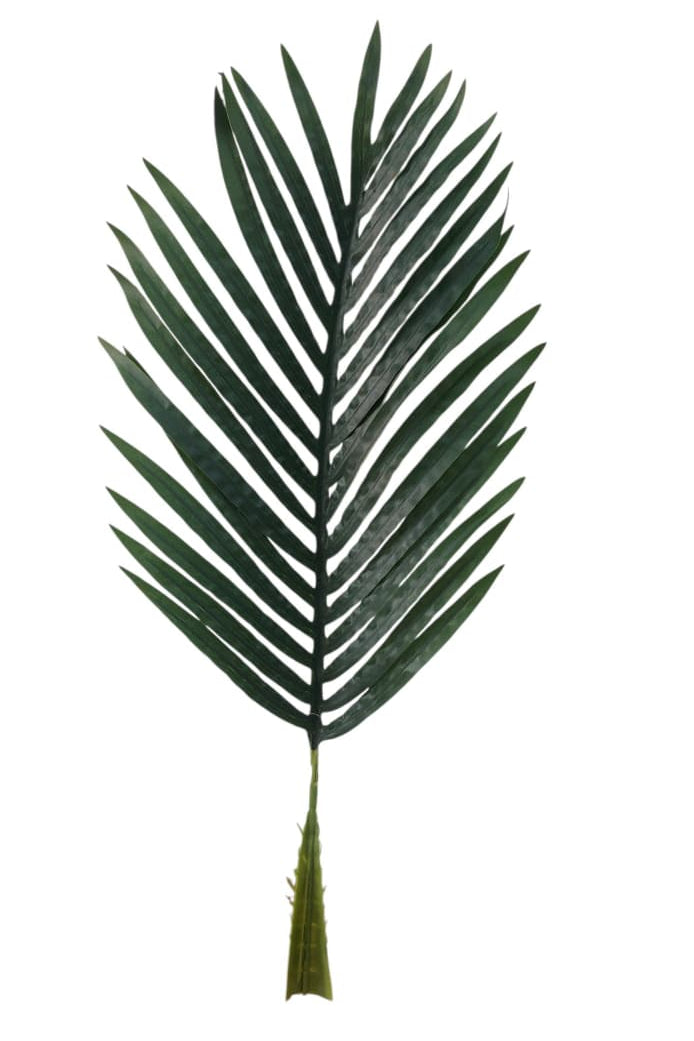 Hoja Palmera Mediana Látex 66cm