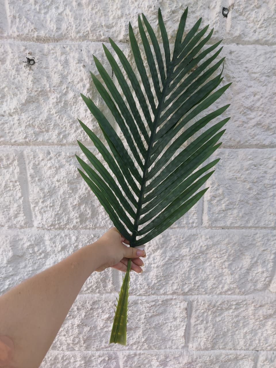 Hoja Palmera Mediana Látex 66cm