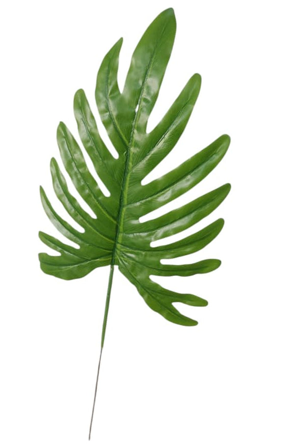Hoja Filodendro Artificial 50cm