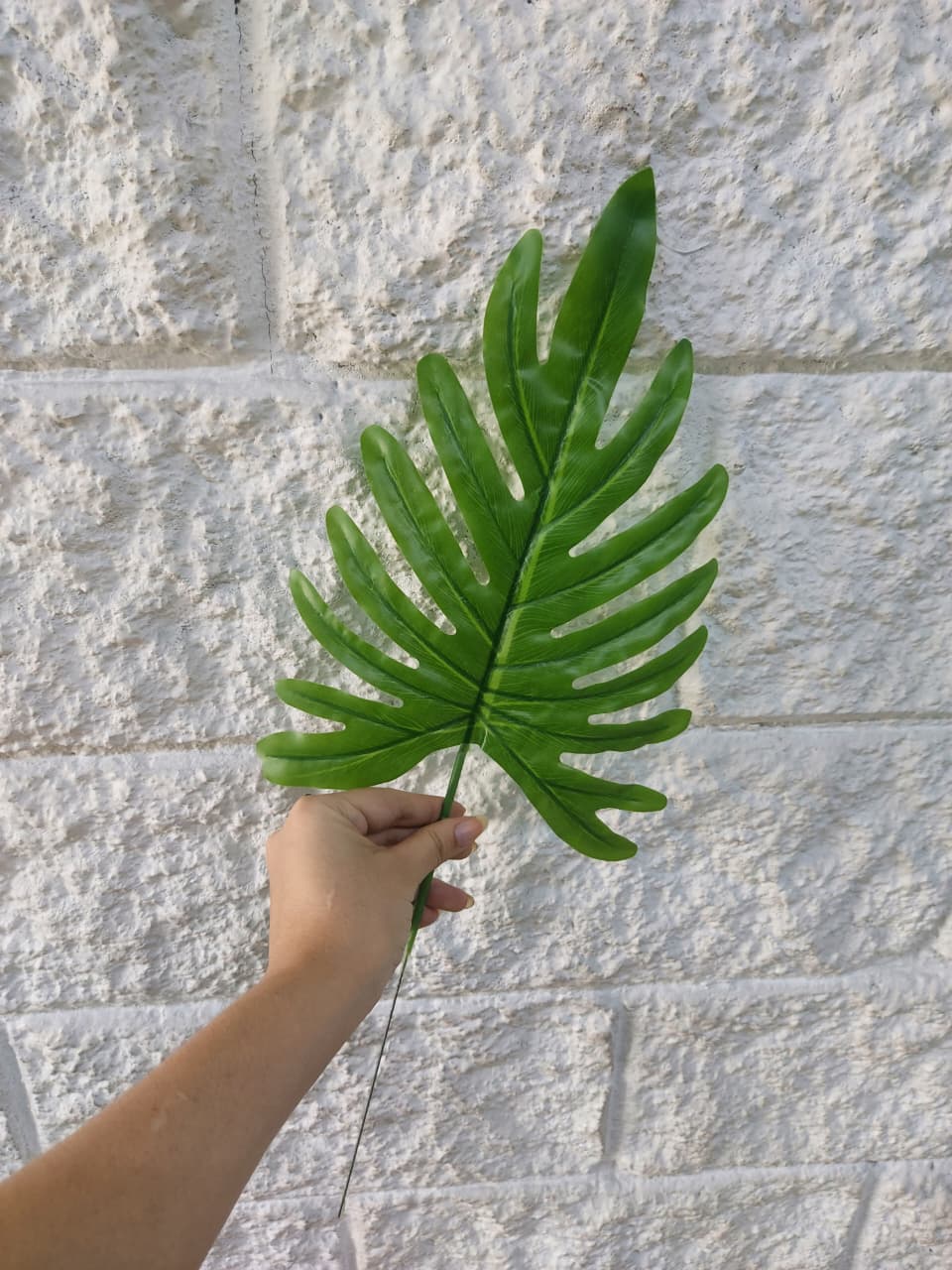 Hoja Filodendro Artificial 50cm