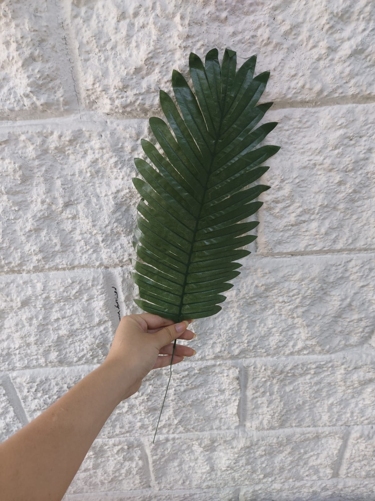 Hoja Palmera en Tela 50cm