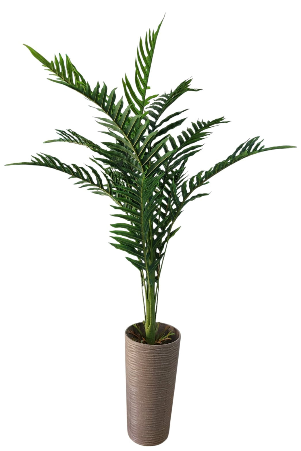 Planta Palmera Verde Sereno 1.40mts