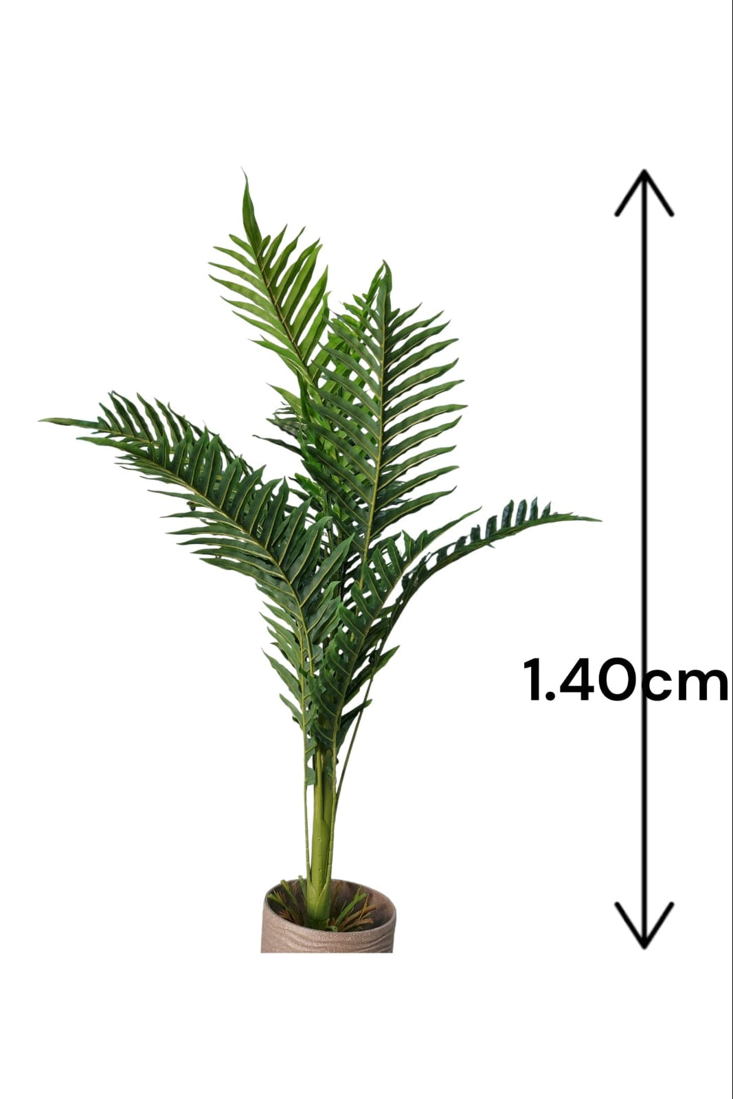 Planta Palmera Verde Sereno 1.40mts