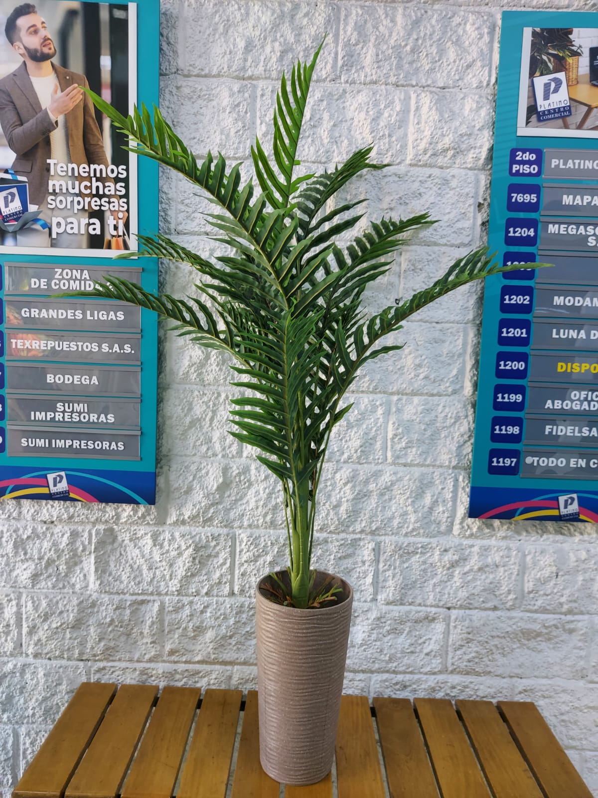 Planta Palmera Verde Sereno 1.40mts