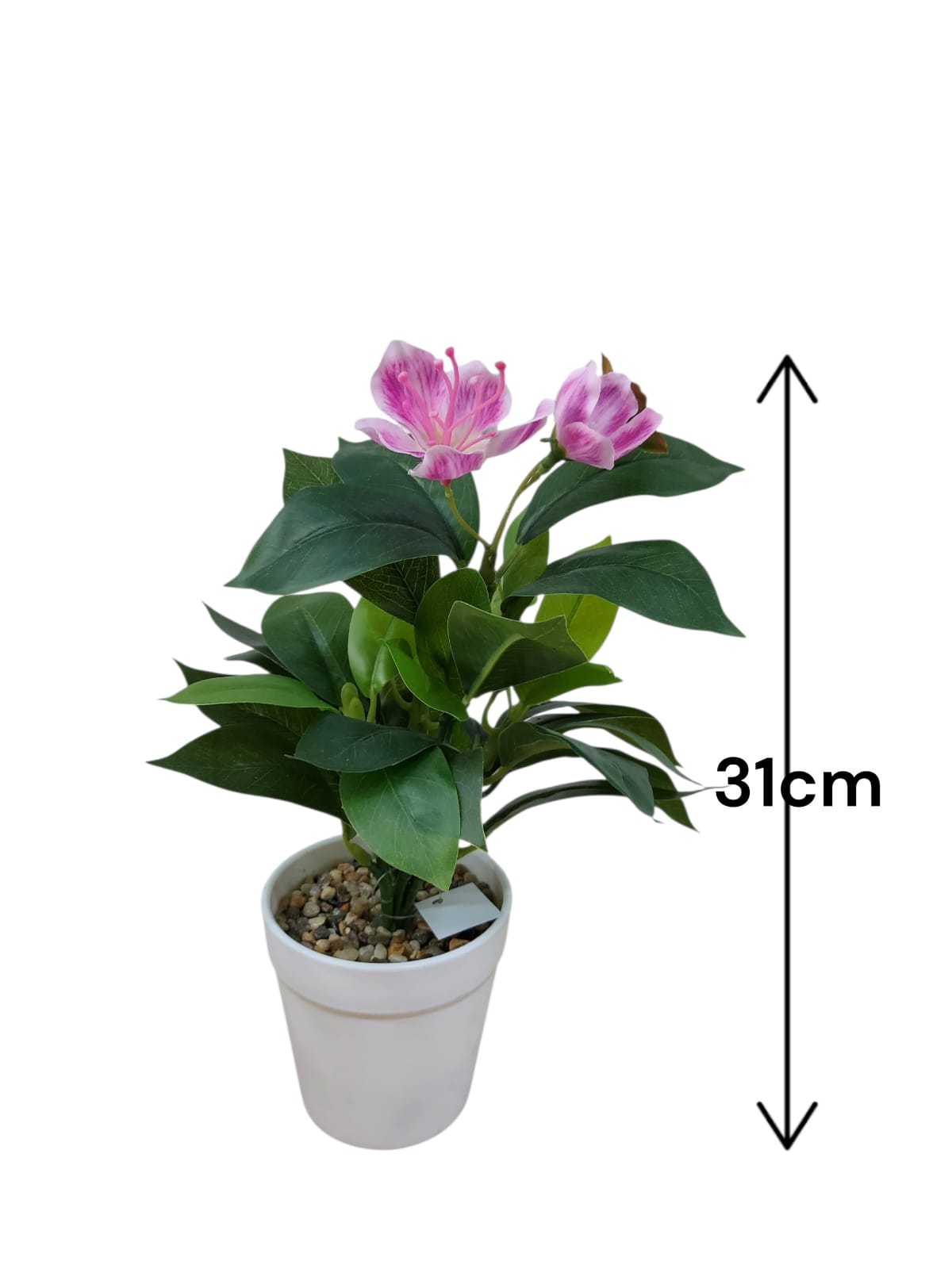 Planta en Matera con Flor Fucsia 31cm