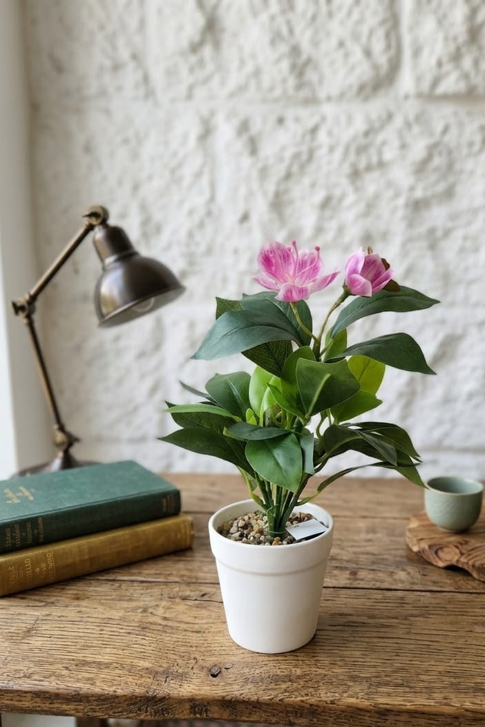 Planta en Matera con Flor Fucsia 31cm