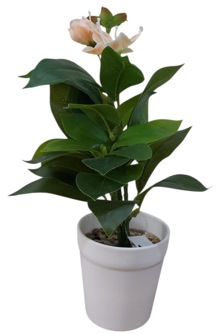 Planta en Matera con Flor Naranja 31cm