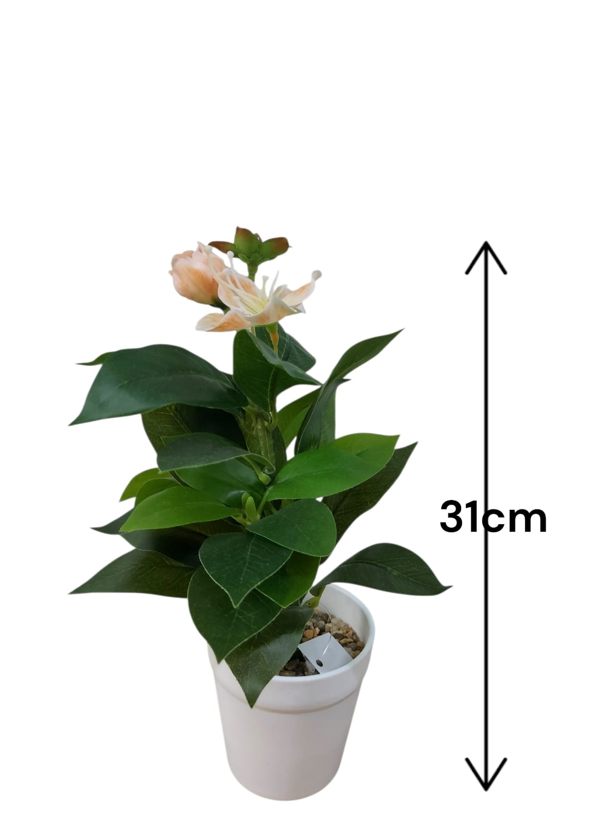 Planta en Matera con Flor Naranja 31cm