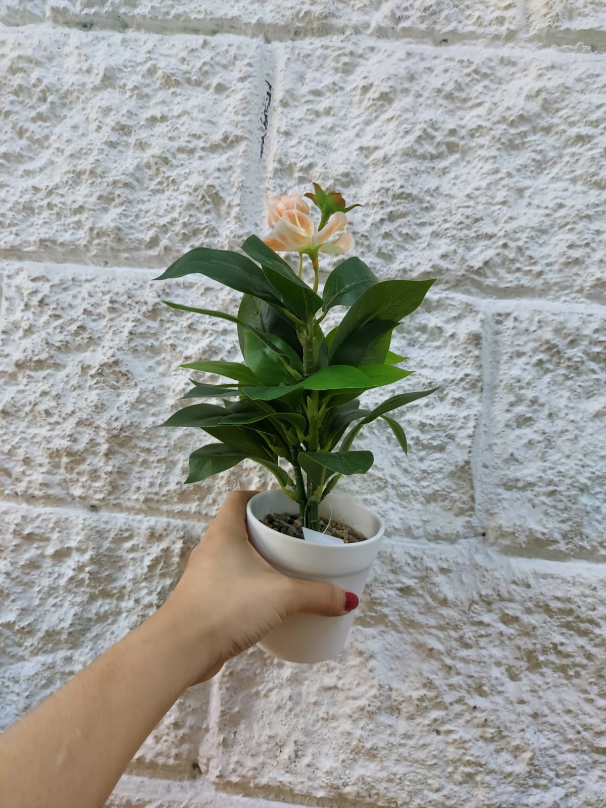 Planta en Matera con Flor Naranja 31cm