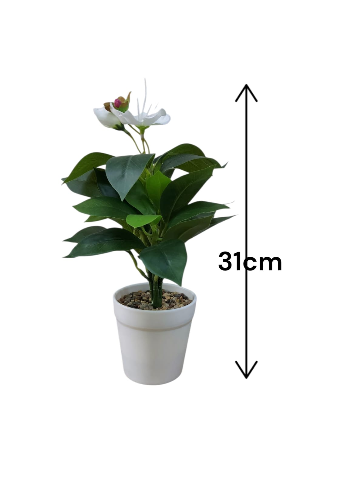 Planta en Matera con Flor Blanca 31cm