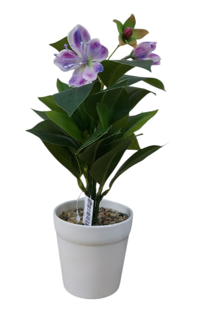 Planta en Matera con Flor Morada 3cm