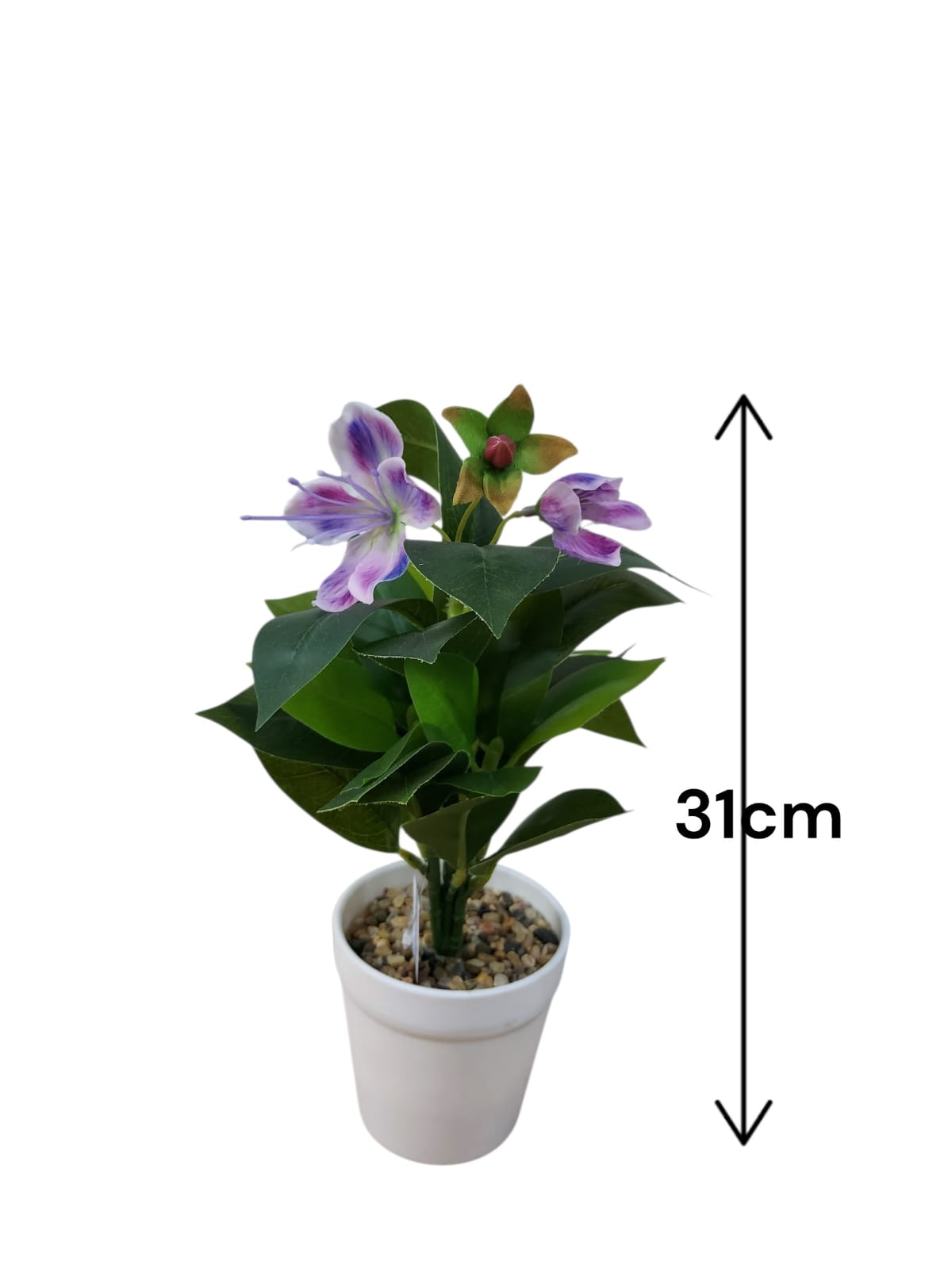 Planta en Matera con Flor Morada 3cm