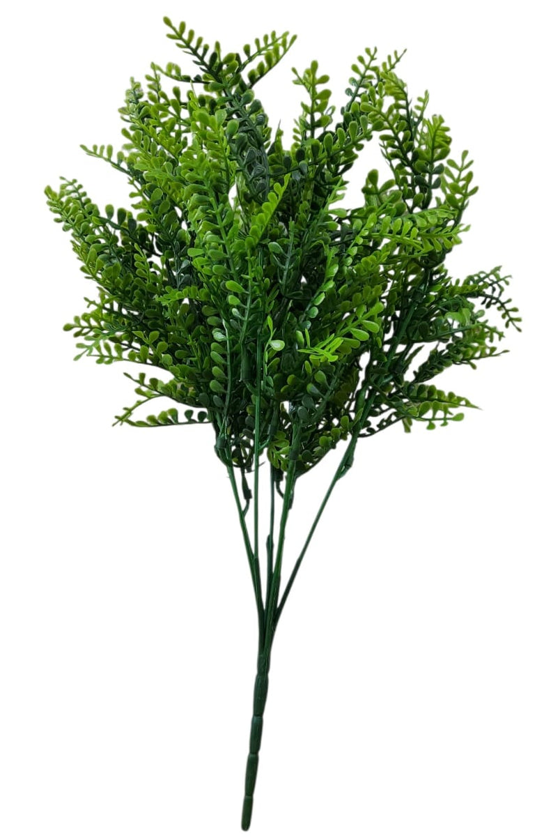 Follaje General Boston Fern 35cm