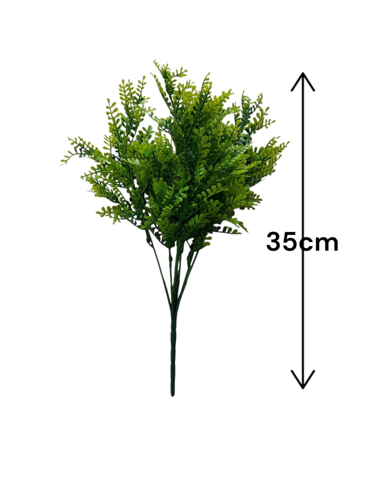 Follaje General Boston Fern 35cm